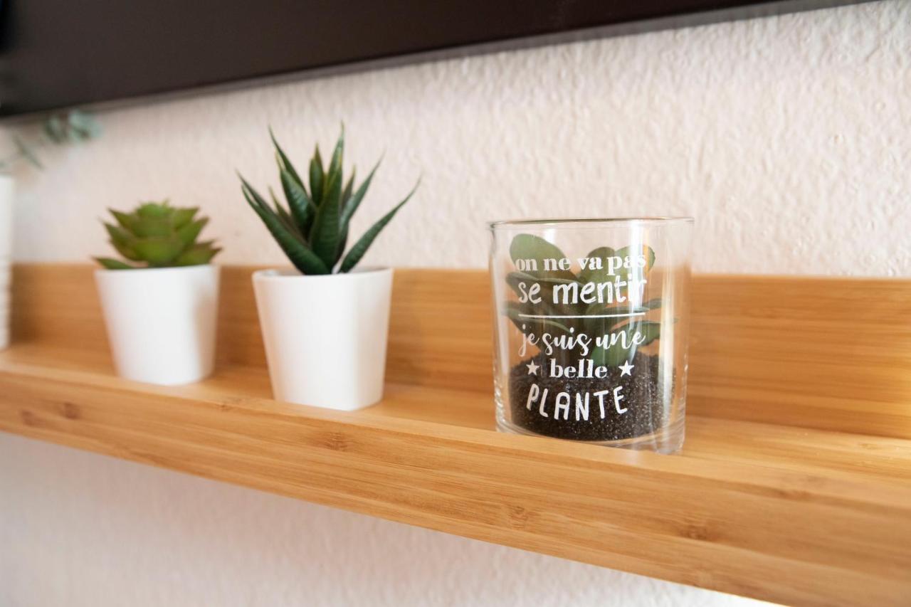 Green Appart Le Chene Rouge Avec Jardin Prive Apartment Мюлуз Екстериор снимка