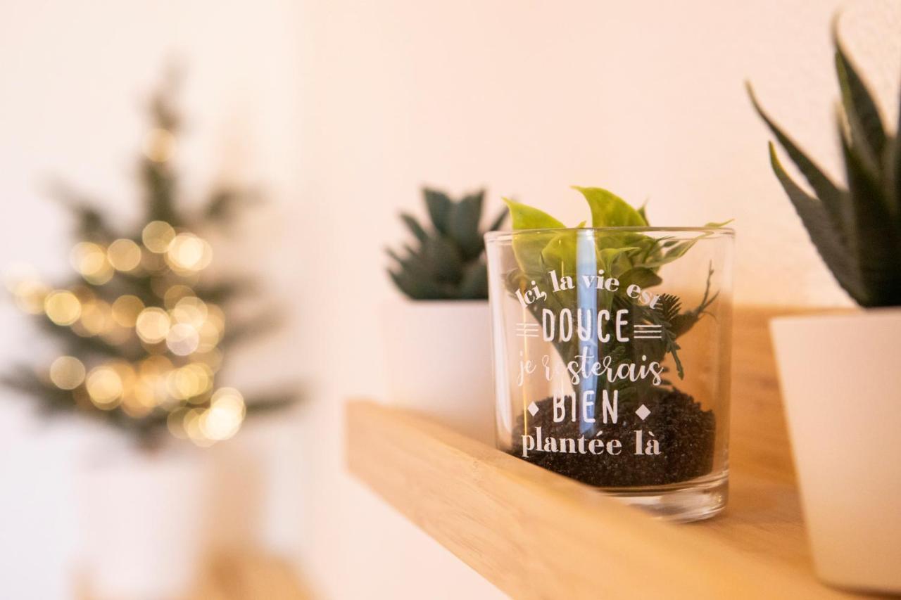 Green Appart Le Chene Rouge Avec Jardin Prive Apartment Мюлуз Екстериор снимка